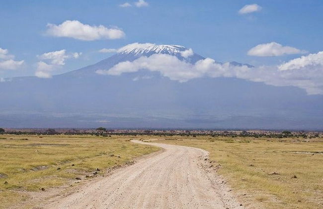 7-Day Safari to National Parks in Kenya - Photo 2