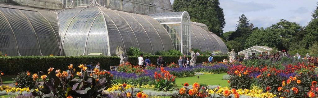Real Jardín Botánico y Palacio de Kew - Entrada - Foto 1