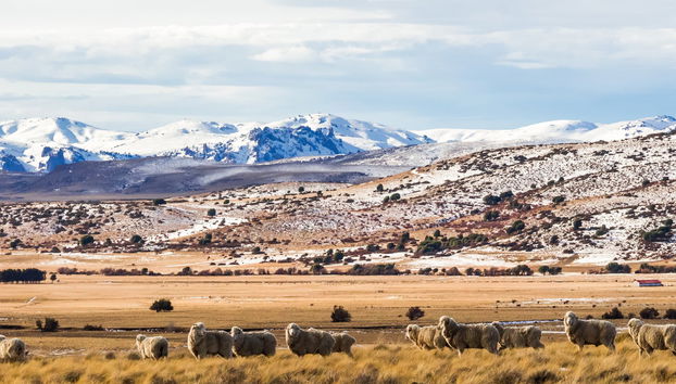 Tour pelo vale do rio Negro + Ecoparque Bubalcó - Foto 3