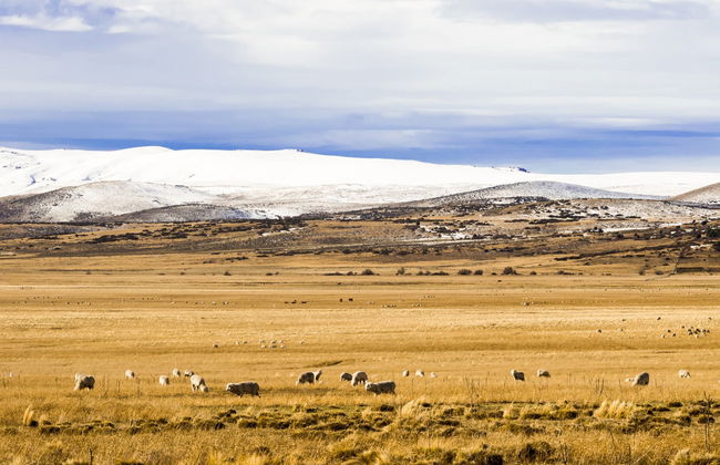 Tour della valle del Río Negro + Ecoparque Bubalcó - Foto 1