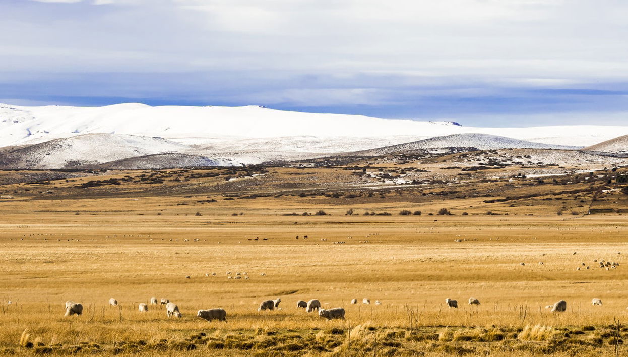 Tour pelo vale do rio Negro + Ecoparque Bubalcó - Foto 1