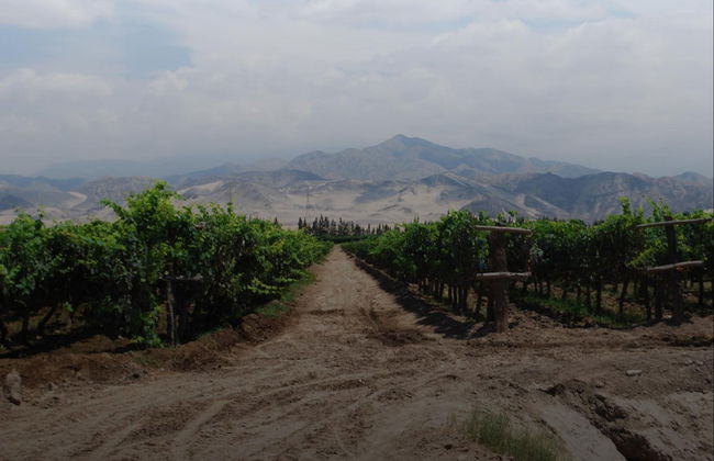 La Caravedo Distillery Tour - Photo 3