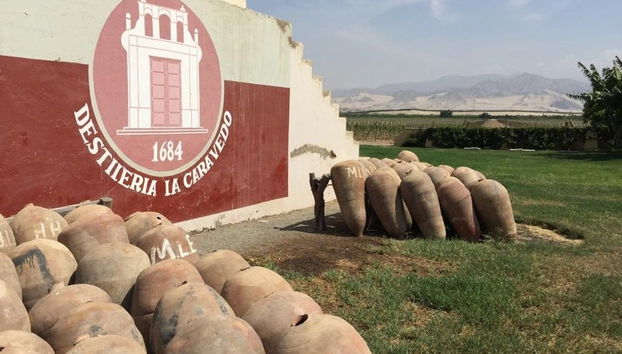 Taller de pisco en la hacienda de La Caravedo - Foto 4