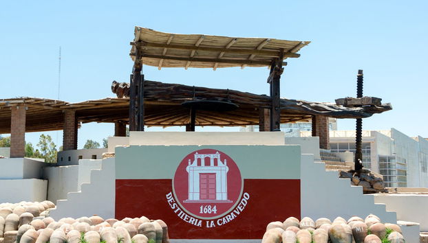 Horseback Riding at Caravedo Hacienda - Foto 3