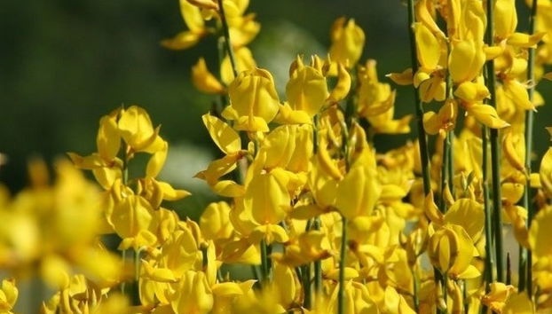 Cilento Coast Hike - Photo 4