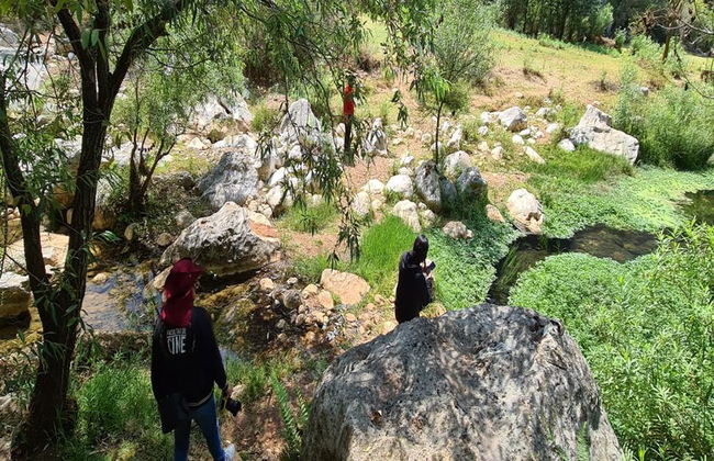 Visita a Santiago Apoala y la laguna encantada - Foto 10
