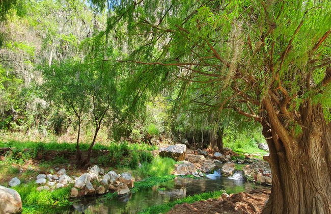 Visita a Santiago Apoala y la laguna encantada - Foto 9