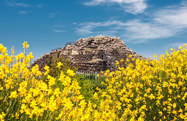 Su Nuraxi of Barumini Half-Day Trip - Foto 7