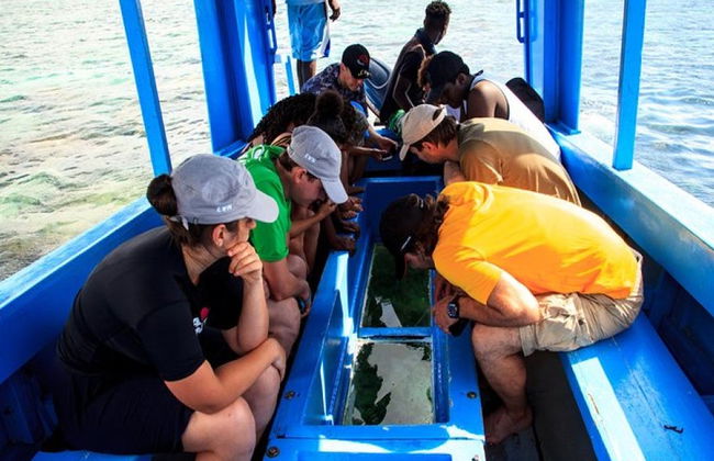 Balade en bateau à fond de verre à Diani - Photo 3
