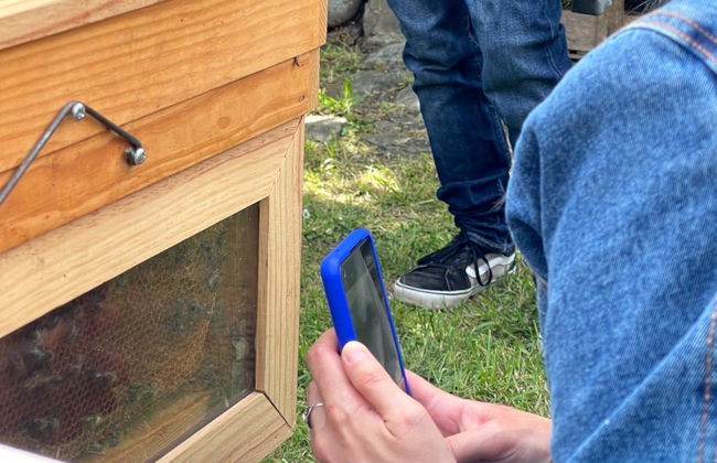 Visita a una granja de abejas con degustación de miel - Foto 5