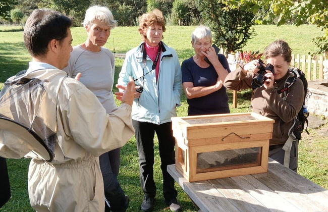 Visita a una granja de abejas con degustación de miel - Foto 4