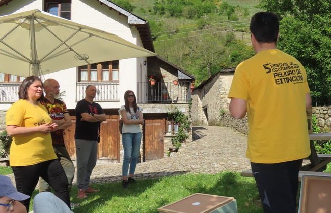 Visita a una granja de abejas con degustación de miel - Foto 8
