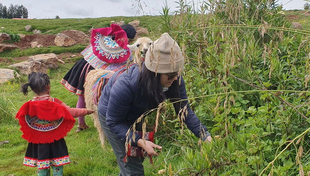 Racchi Ayllu Community Visit + Andean Weaving Workshop - Foto 2