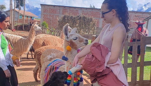 Racchi Ayllu Community Visit + Andean Weaving Workshop - Foto 5