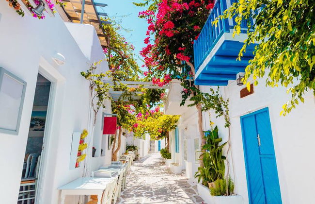 Paros Highlights - Half-Day Private Tour with Transfers - Photo 3