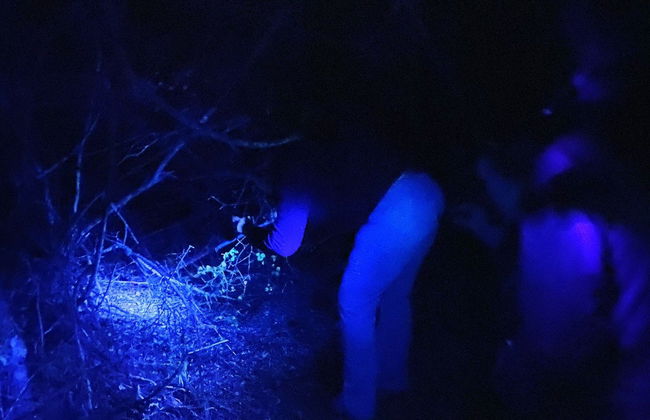 Senderismo nocturno por Oudtshoorn + Avistamiento de escorpiones - Foto 7