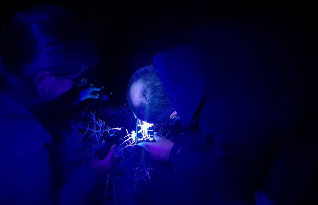 Senderismo nocturno por Oudtshoorn + Avistamiento de escorpiones - Foto 3