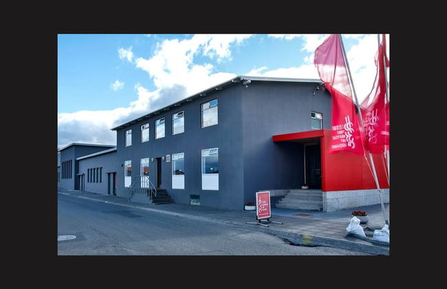 Entrada a 1238: The Battle of Iceland - Foto 5