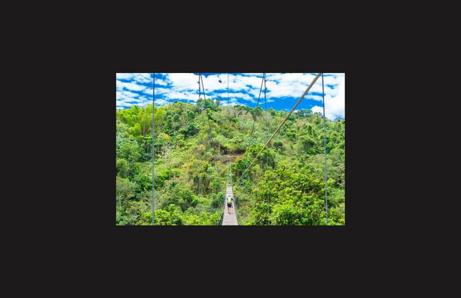 Toro Verde Eco Adventure Park & Suspension Bridges - Photo 3