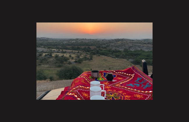 Safari privado por Jawai Dam - Foto 3