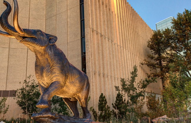 Denver CityPASS® - Photo 6
