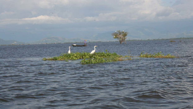 Excursion privée aux rivières de la Sierra Nevada de Santa Marta - Photo 5