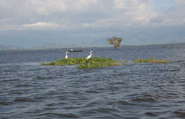 Excursion privée aux rivières de la Sierra Nevada de Santa Marta - Photo 5