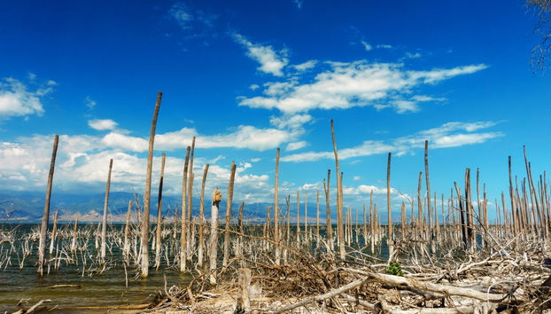 Excursión al lago Enriquillo - Photo 3
