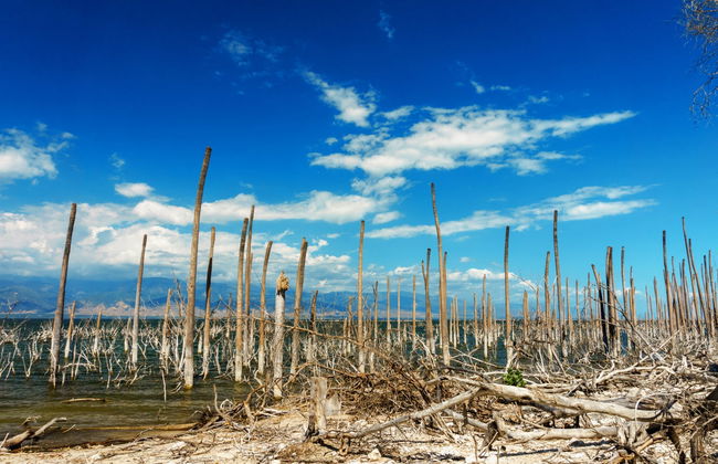 Excursión al lago Enriquillo - Photo 3