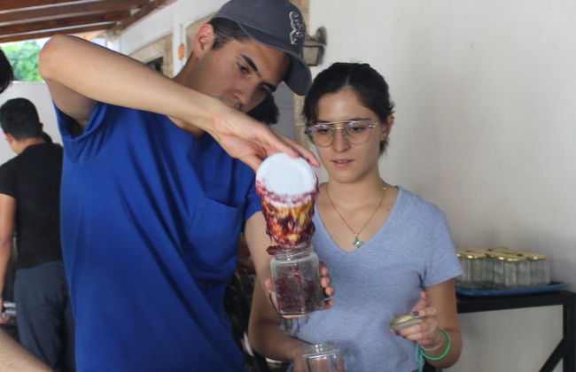 Parras de la Fuente Sweets Workshop - Photo 11