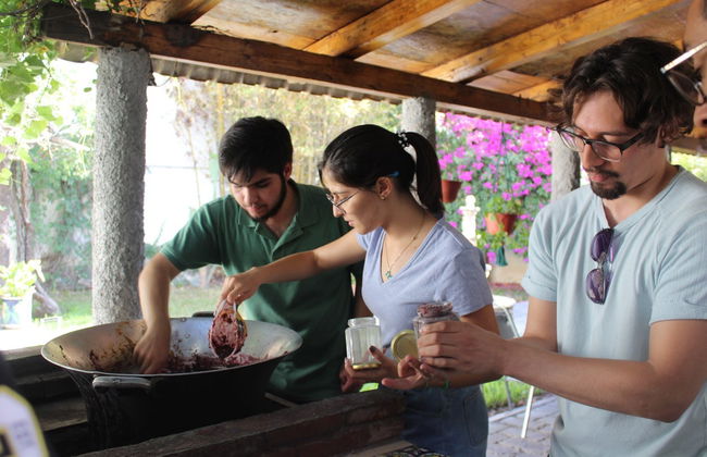 Parras de la Fuente Sweets Workshop - Photo 1