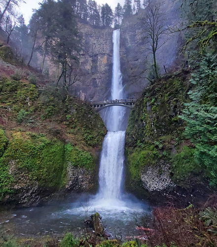Foto de Excursión a las cataratas Multnomah y Monte Hood