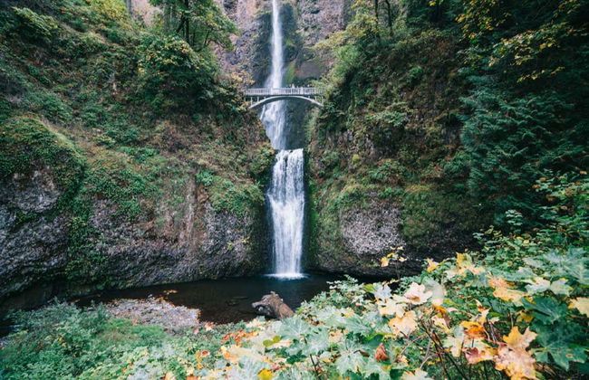 Excursão às Multnomah Falls e ao Monte Hood - Foto 1