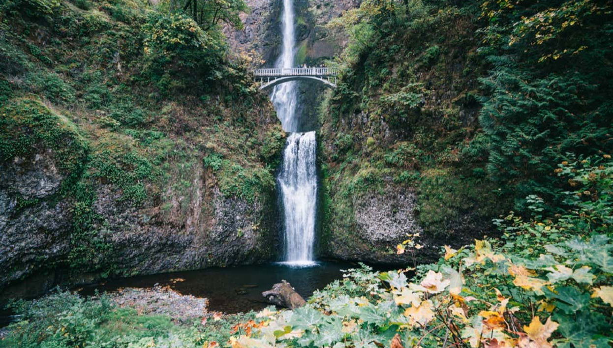 Excursão às Multnomah Falls e ao Monte Hood - Foto 1