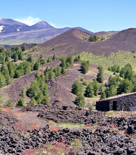 Foto de Excursión al Etna