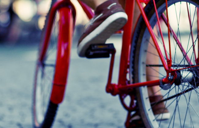 Tour en bicicleta por Victoria - Foto 4