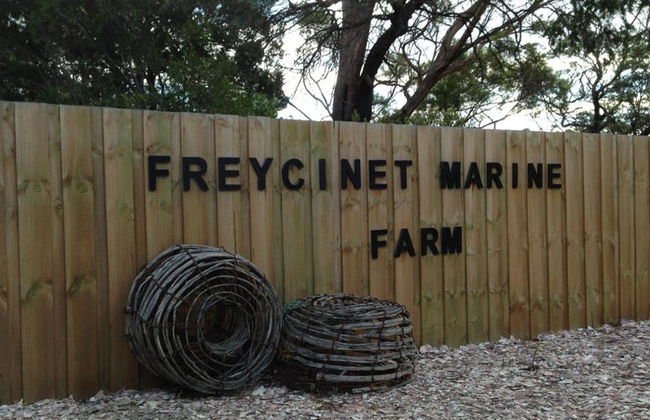 Wineglass Bay und Freycinet National Park - Foto 4