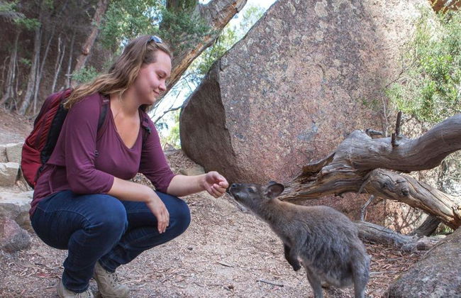 Wineglass Bay und Freycinet National Park - Foto 3
