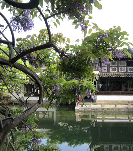 Foto de Jardines de Suzhou y Zhouzhuang – Tour privado de un día entero