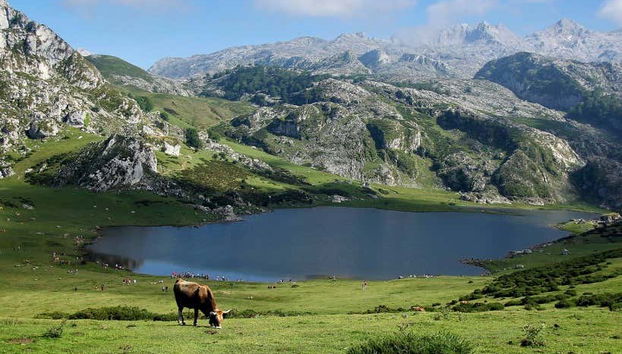 Excursión a los lagos de Covadonga y Cangas de Onís - Foto 4