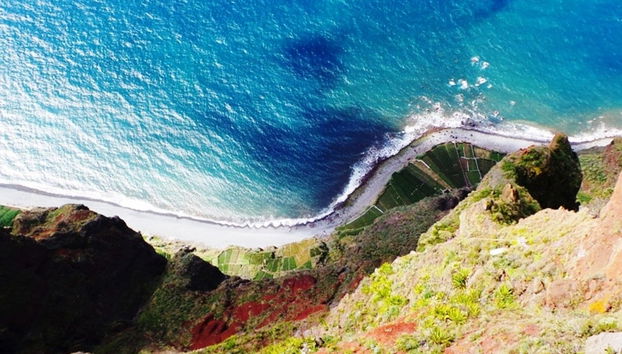 Funchal Dolphin Watching & Jeep Tour - Foto 4