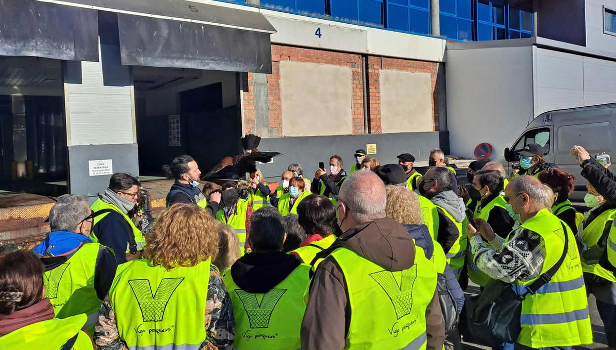 Tour por el puerto de Vigo + Visita a un vivero de marisco - Foto 1