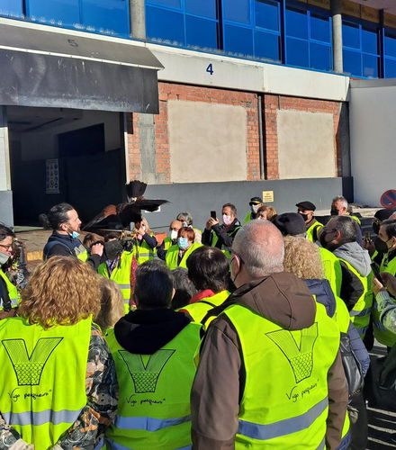 Foto de Tour por el puerto de Vigo + Visita a un vivero de marisco