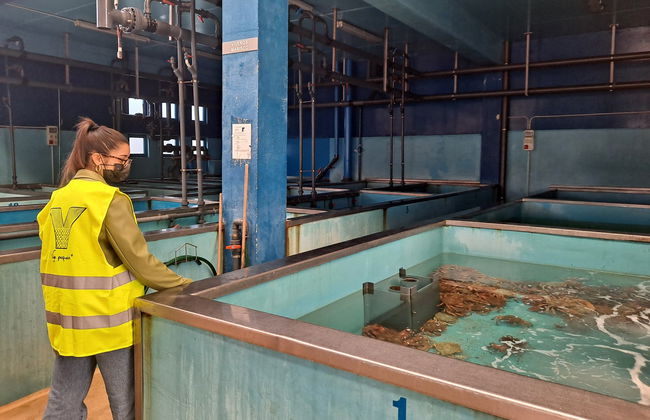 Tour por el puerto de Vigo + Visita a un vivero de marisco - Photo 6