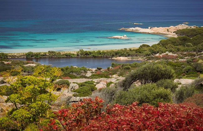 Excursión al Parque Nacional de Asinara - Foto 8