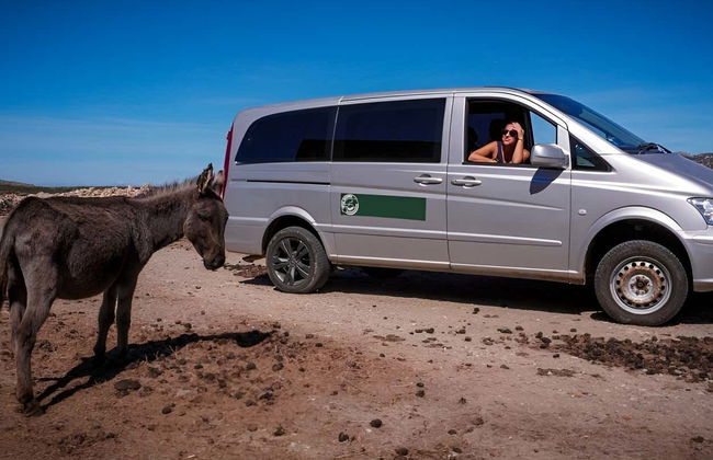 Excursión al Parque Nacional de Asinara - Foto 10
