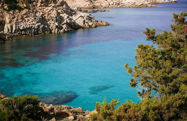 Excursión al Parque Nacional de Asinara - Foto 6