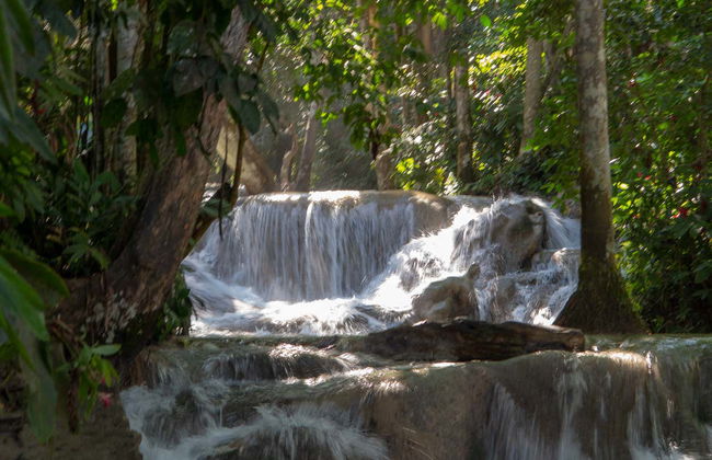 Excursión a las cascadas del río Dunn - Foto 7