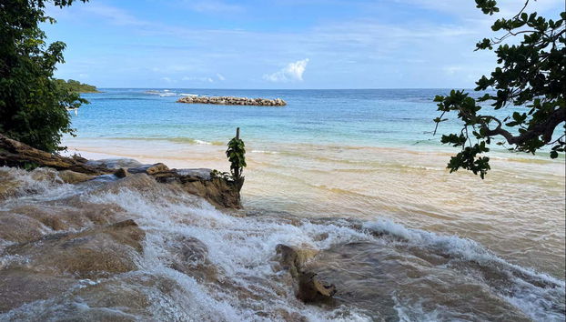 Excursión a las cascadas del río Dunn - Foto 4