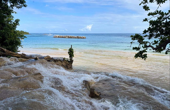 Excursión a las cascadas del río Dunn - Foto 4